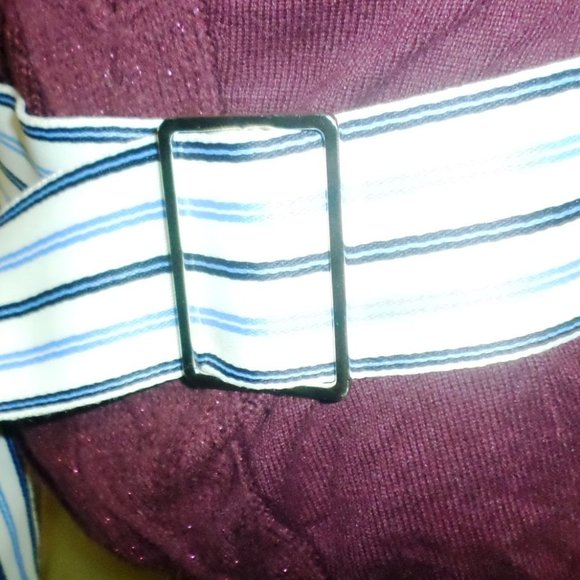 Express stripe blue white canvas belt - Picture 2 of 7